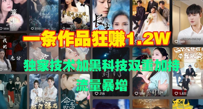 一条作品收益1.2w，独家技术加黑科技双重加持，流量暴增| 网创圈