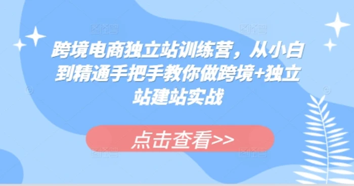 跨境电商独立站训练营，从小白到精通手把手教你做跨境+独立站建站实战| 网创圈