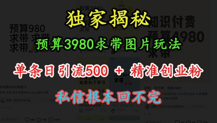 预算3980求带 图片玩法，单条日引流500+精准创业粉，私信根本回不完| 网创圈