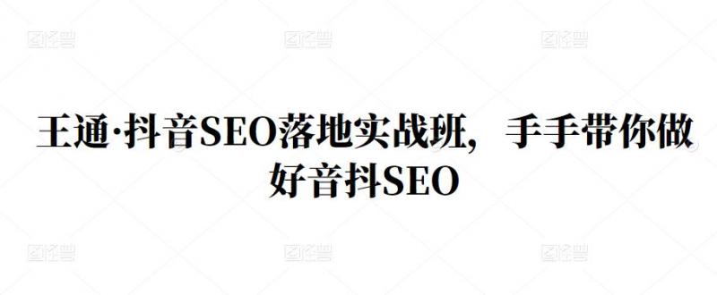 王通·抖音SEO落地实战班，手‬手带你做好音抖‬‬SEO| 网创圈