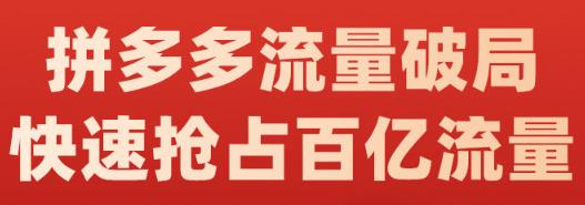 阿杰·拼多多流量破局:如何打黑标，爆款的思路，拼多多流量框架，快速抢占百亿流量| 网创圈