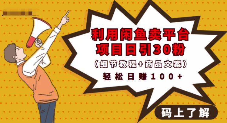 利用闲鱼卖平台项目课程资源日引流30+精准粉丝，轻松日赚100+，积累人脉可实现二次变| 网创圈