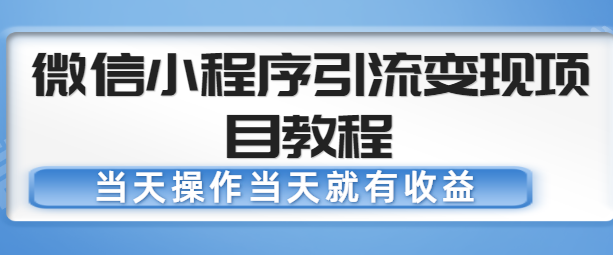 微信小程序引流变现项目教程，当天操作当天就有收益，变现不再是难事| 网创圈