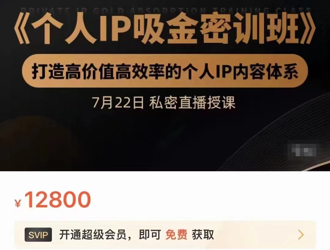 个人IP吸金密训班，打造高价值高效率的个人IP内容体系（价值12800元）| 网创圈