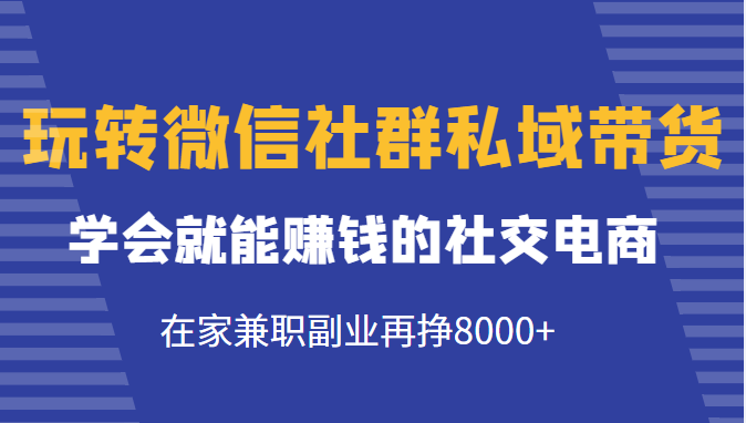 玩转微信社群私域带货，学会就能赚钱的社交电商，在家兼职副业再挣8000+| 网创圈