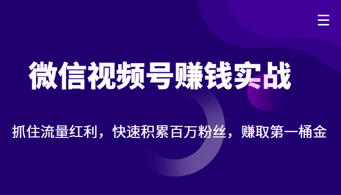 微信视频号赚钱实战：抓住流量红利，快速积累百万粉丝，赚取你的第一桶金| 网创圈