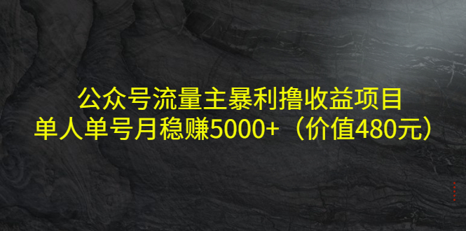 公众号流量主暴利撸收益项目，单人单号月稳赚5000+（价值480元）| 网创圈