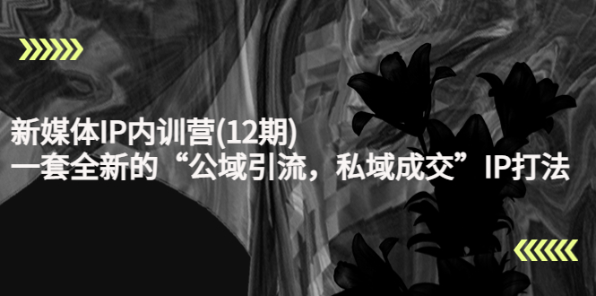 新媒体IP内训营(12期)，一套全新的“公域引流，私域成交”IP打法，直接带走| 网创圈