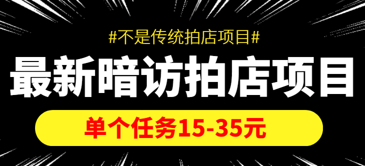 最新暗访拍店信息差项目，单个任务15-35元（不是传统拍店项目）| 网创圈