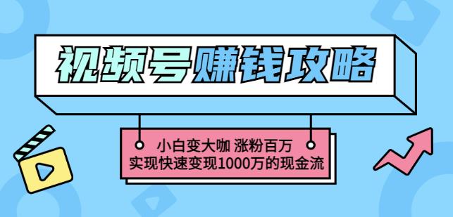 玩转微信视频号赚钱：小白变大咖涨粉百万实现快速变现1000万的现金流| 网创圈
