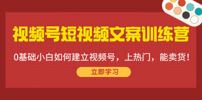 视频号短视频文案训练营：0基础小白如何建立视频号，上热门，能卖货！| 网创圈