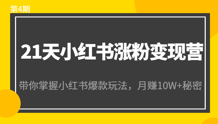 21天小红书涨粉变现营（第4期）：带你掌握小红书爆款玩法，月赚10W+秘密| 网创圈