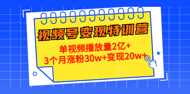21天视频号变现特训营：单视频播放量2亿+3个月涨粉30w+变现20w+（第14期）| 网创圈