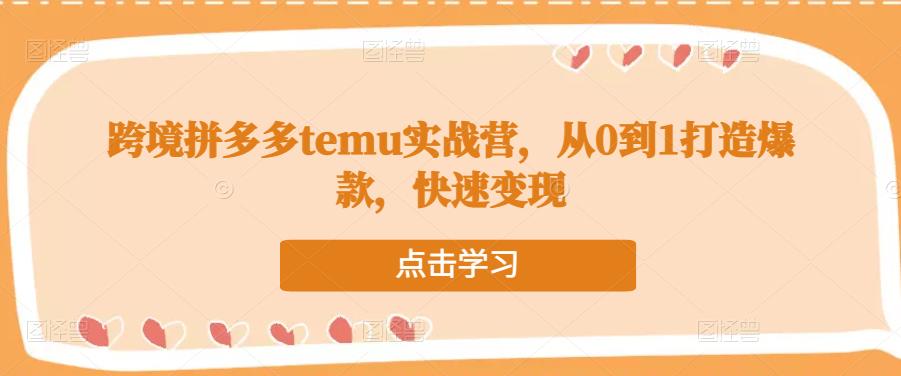 跨境拼多多temu实战营，从0到1打造爆款，快速变现| 网创圈