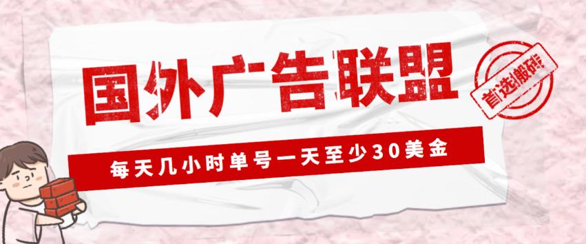 外面收费1980的最新国外LEAD广告联盟搬砖项目，单号一天至少30美金【详细玩法教程】| 网创圈