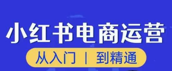 顽石小红书电商高阶运营课程，从入门到精通，玩法流程持续更新| 网创圈