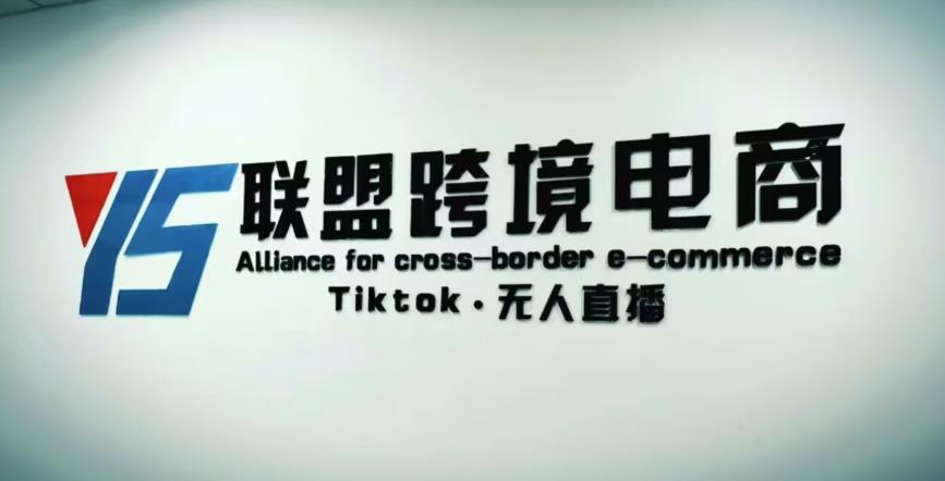 YS联盟·Tiktok无人直播，不出镜不剪辑不拍摄不发货无售后的跨境短视频躺赚玩法| 网创圈