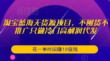 淘宝蓝海无货源项目，不囤货不推广只做冷门高利润代发，花一半时间赚10倍钱| 网创圈