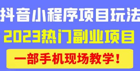 抖音小程序9.0新技巧，2023热门副业项目，动动手指轻松变现| 网创圈