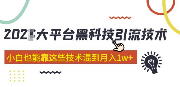 大平台黑科技引流技术，小白也能靠这些技术混到月入1w+(2022年的课程）| 网创圈