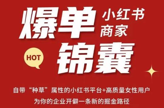 无畏·小红书商家爆单锦囊，掌握小红书各大规则，快速精准抢占行业和市场| 网创圈