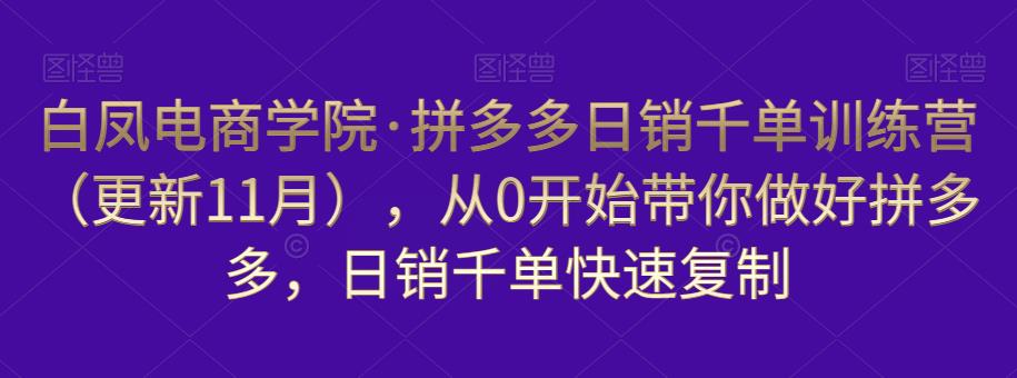 白凤电商学院·拼多多日销千单训练营，从0开始带你做好拼多多，日销千单快速复制（更新知2023年3月）| 网创圈
