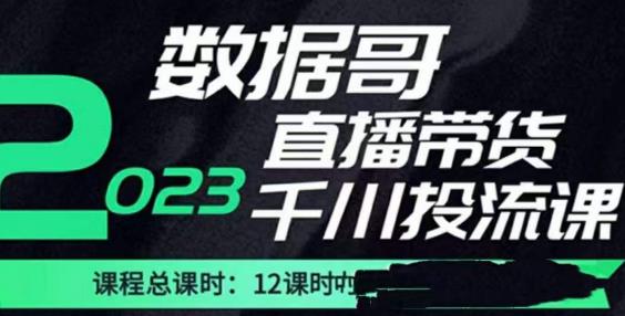 数据哥2023直播电商巨量千川付费投流实操课，快速掌握直播带货运营投放策略| 网创圈
