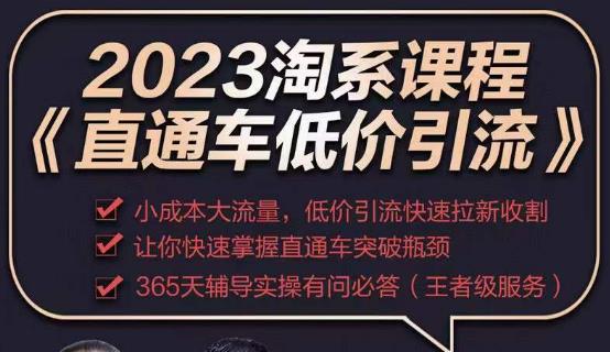 2023直通车低价引流玩法课程，小成本大流量，低价引流快速拉新收割，让你快速掌握直通车突破瓶颈| 网创圈
