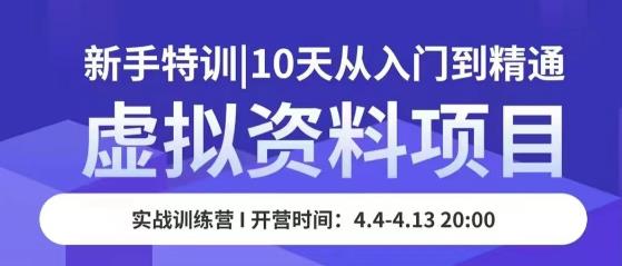 虚拟资料项目新手特训，10天从入门到精通，保姆级实操教学| 网创圈