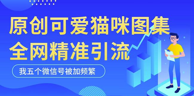 黑科技纯原创可爱猫咪图片，全网精准引流，实操5个VX号被加频繁| 网创圈