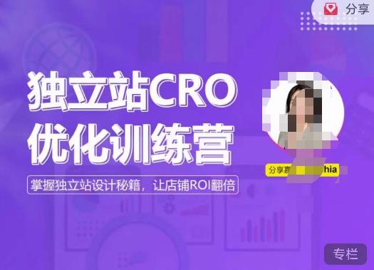 独立站CRO优化训练营，掌握独立站设计秘籍，打造高转化的独立站，让店铺ROI翻倍| 网创圈