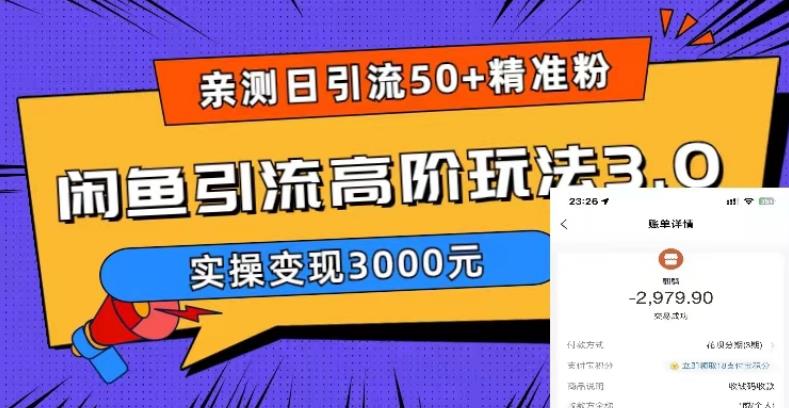亲测日引50+精准粉，闲鱼引流高阶玩法3.0，实操变现3000元【揭秘】| 网创圈