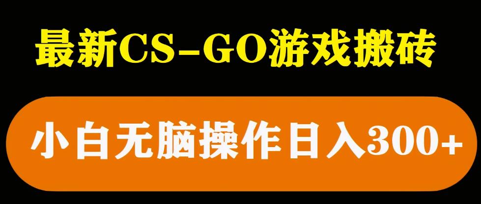 最新csgo游戏搬砖游戏，无需挂机小白无脑也能日入300+| 网创圈