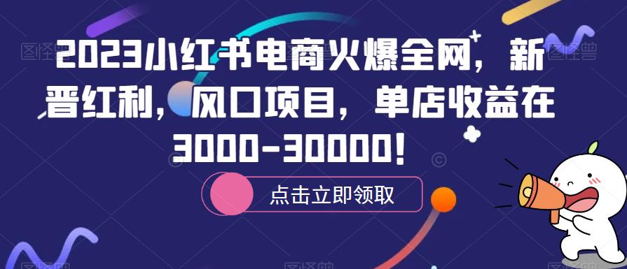 2023小红书电商火爆全网，新晋红利，风口项目，单店收益在3000-30000！| 网创圈