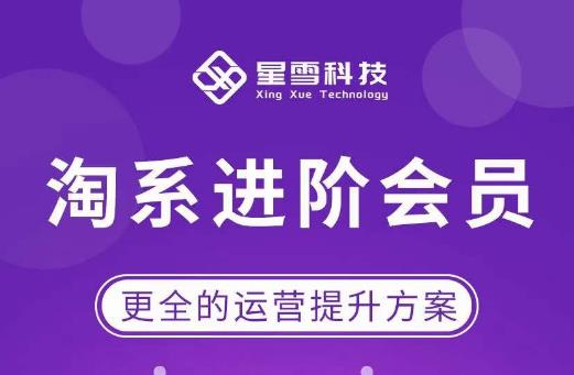 星雪·淘系进阶课程，快速提升突破技能流量瓶颈必备（更新2023年5月）| 网创圈