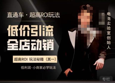 电商冰可乐·直通车·《低价引流·全店动销》，直通车·超高ROI玩法（其一）全店动销必学玩法| 网创圈