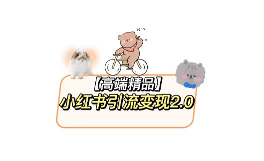 小红书最新引流变现教程，全网最新最详细的视频教程以及素材| 网创圈