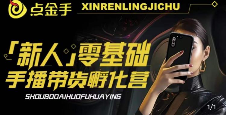 2023点金手·新人零基础手播带货孵化营：账号运营篇+主播话术篇+数据流量篇等| 网创圈