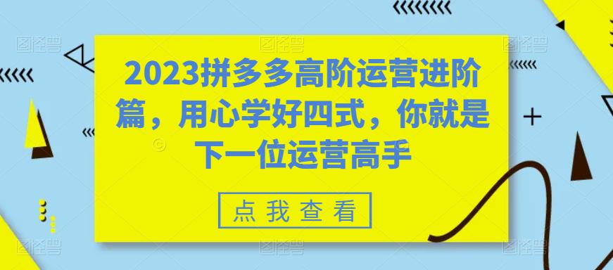 2023拼多多高阶运营进阶篇，用心学好四式，你就是下一位运营高手| 网创圈