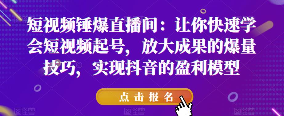 短视频锤爆直播间：让你快速学会短视频起号，放大成果的爆量技巧，实现抖音的盈利模型| 网创圈
