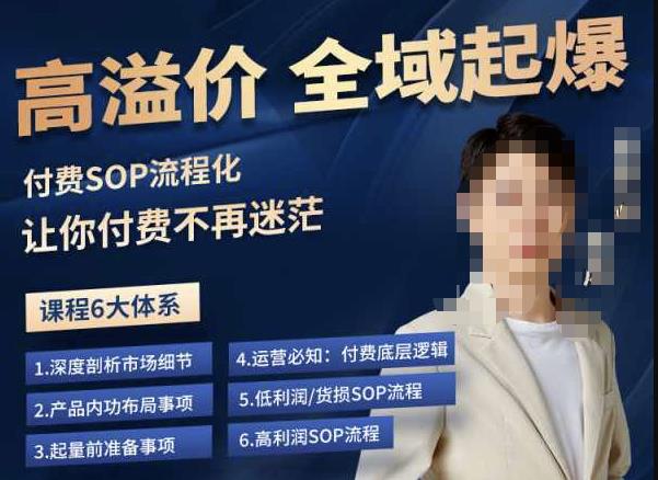 逸风-拼多多高溢价全域起爆，6大课程体系，付费玩法全套实操| 网创圈