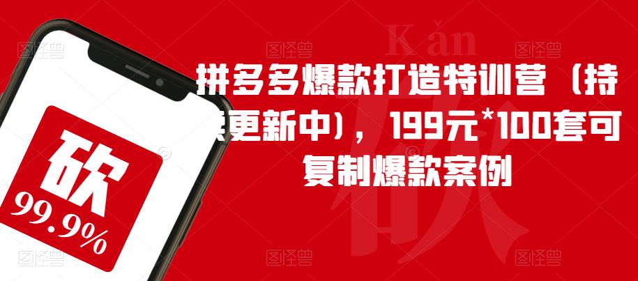 拼多多爆款打造特训营（持续更新中)，199元*100套可复制爆款案例| 网创圈