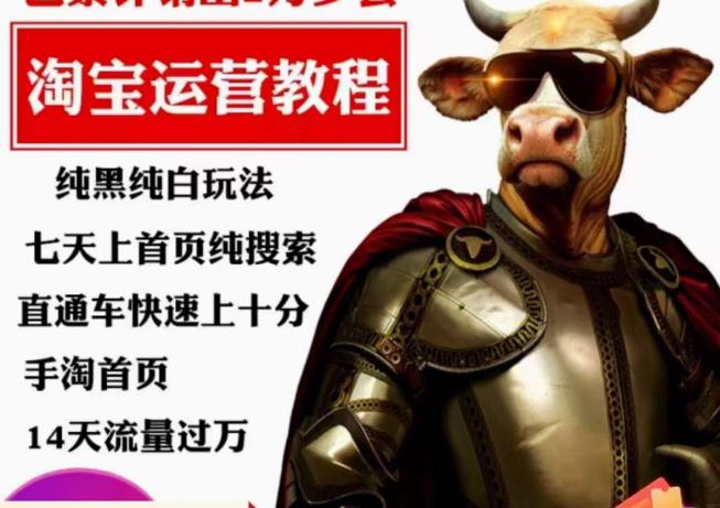 猫老师·淘系算法逆向解密，​纯黑纯白玩法，七天上首页纯搜索，手淘首页14天流量过万| 网创圈