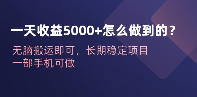 一天收益5000+怎么做到的？无脑搬运即可，长期稳定项目，一部手机可做【揭秘】| 网创圈