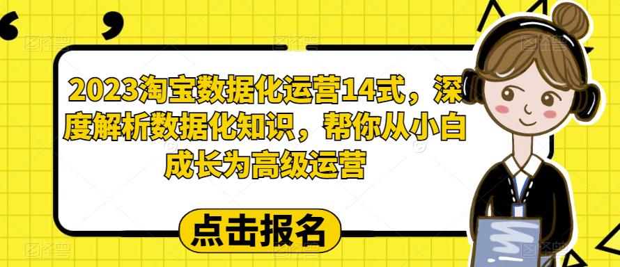 2023淘宝数据化运营14式，深度解析数据化知识，帮你从小白成长为高级运营| 网创圈