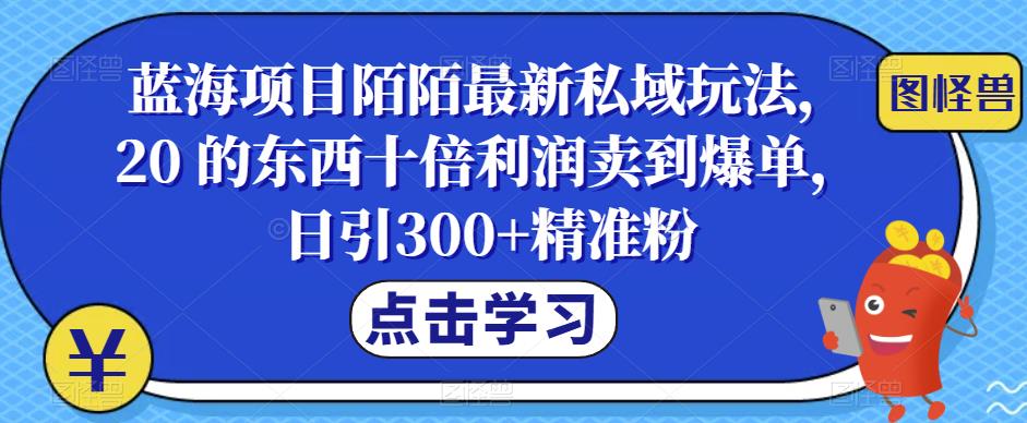 蓝海项目陌陌最新私域玩法，20 的东西十倍利润卖到爆单，日引300+精准粉【揭秘】| 网创圈