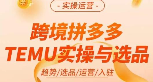 伍跃·跨境拼多多TEMU实操与选品，​趋势/选品/运营/入住（27节完整）| 网创圈