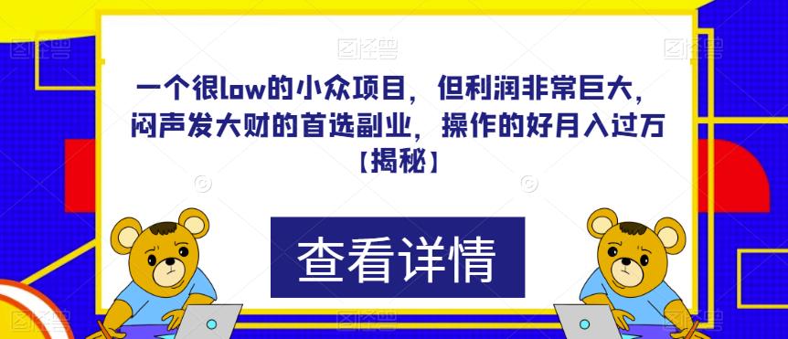 一个很low的小众项目，但利润非常巨大，闷声发大财的首选副业，操作的好月入过万【揭秘】| 网创圈