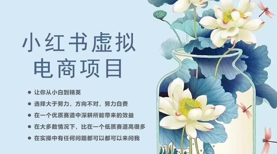 小红书虚拟电商从0到1，让你从小白到精英（20节实操课程）| 网创圈