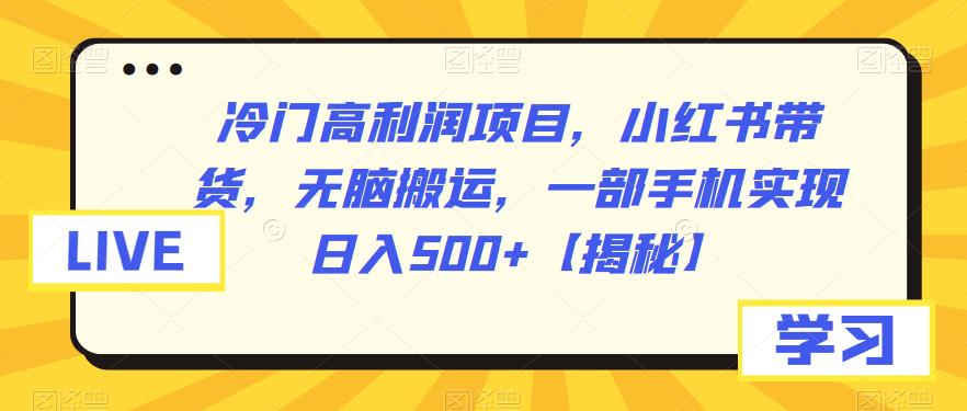 冷门高利润项目，小红书带货，无脑搬运，一部手机实现日入500+【揭秘】| 网创圈